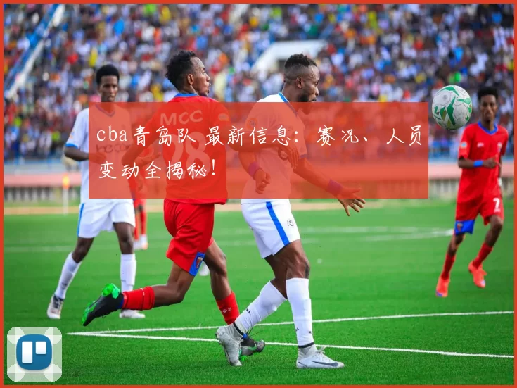 cba青岛队 最新信息：赛况、人员变动全揭秘！