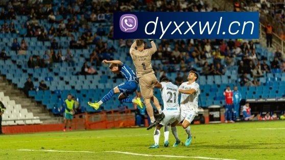 多媒体互动体验