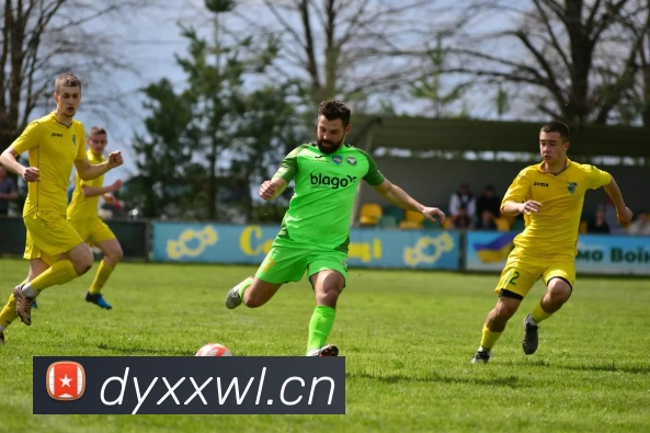 辅助工具 辅助工具